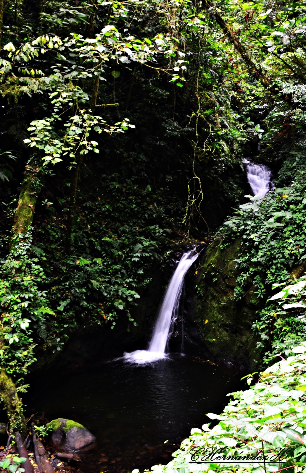 Cascada Cuecha, Reserva Monteverde, Costa Rica