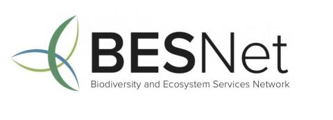 Logo BES-NET