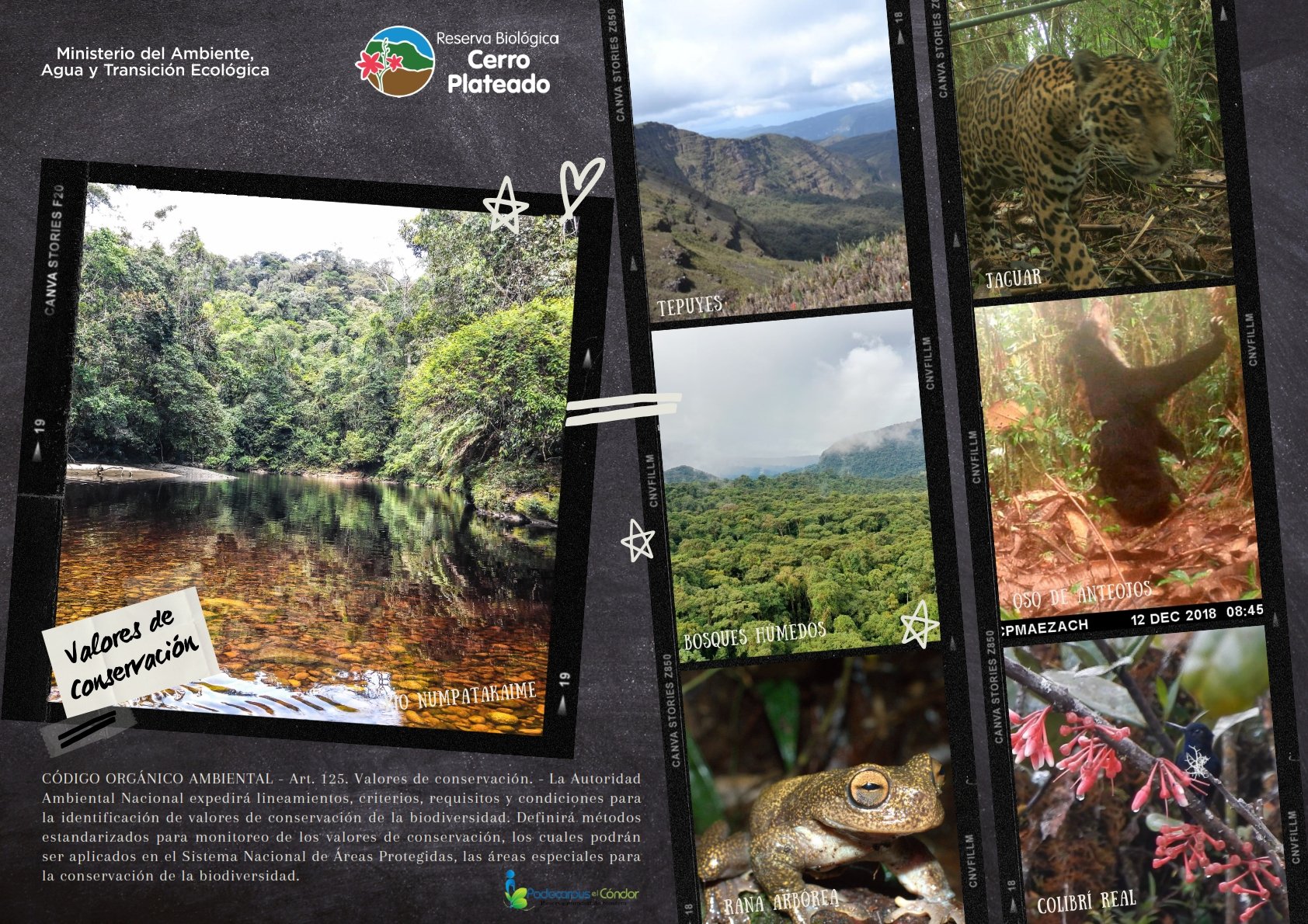 Ministerio del Ambiente, Agua y Transición Ecológica, Reserva Biológica Cerro Plateado