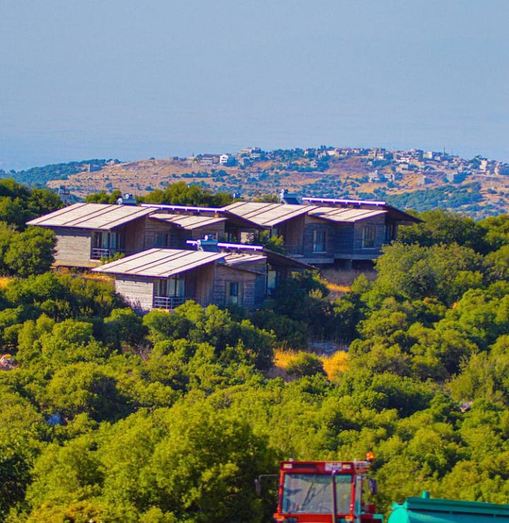 Ajloun Forest Reserve 