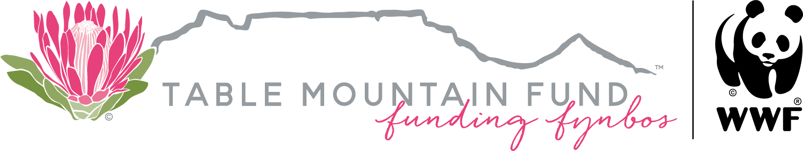 The Table Mountain Fund
