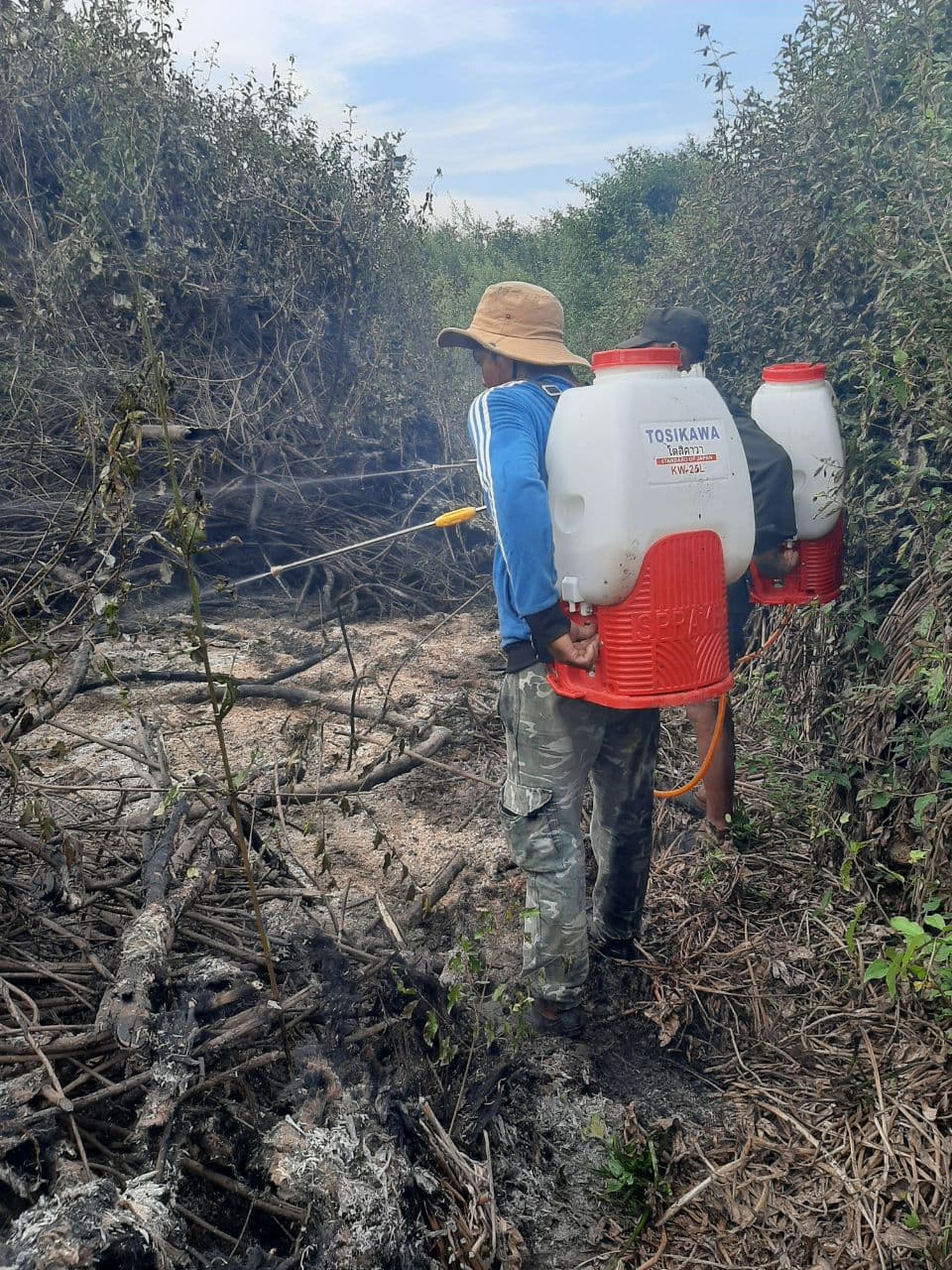 Fire fighters using backpack sprayers to extinguish a wildfire in shrubland