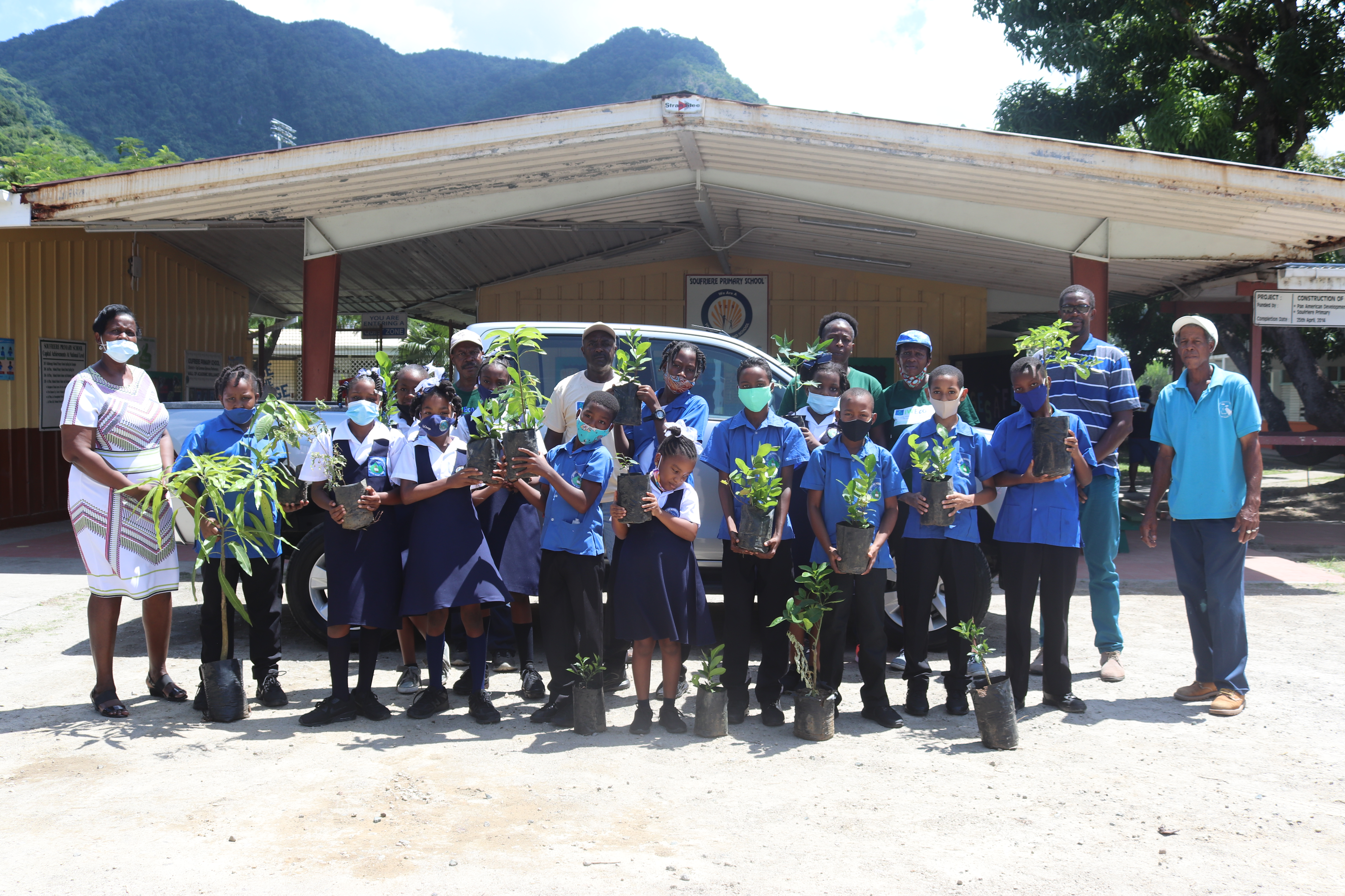 Soufriere Primary School Tree Planting and Farming initiative