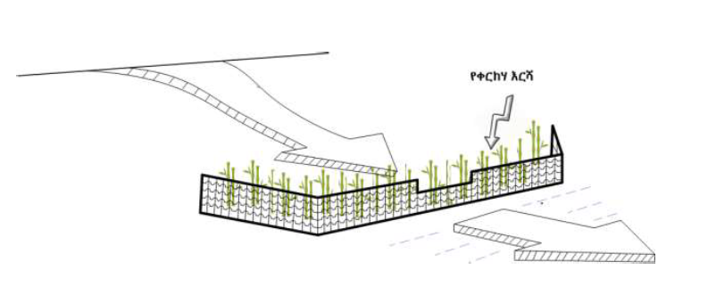 Technical drawing of ecohydrological structure.