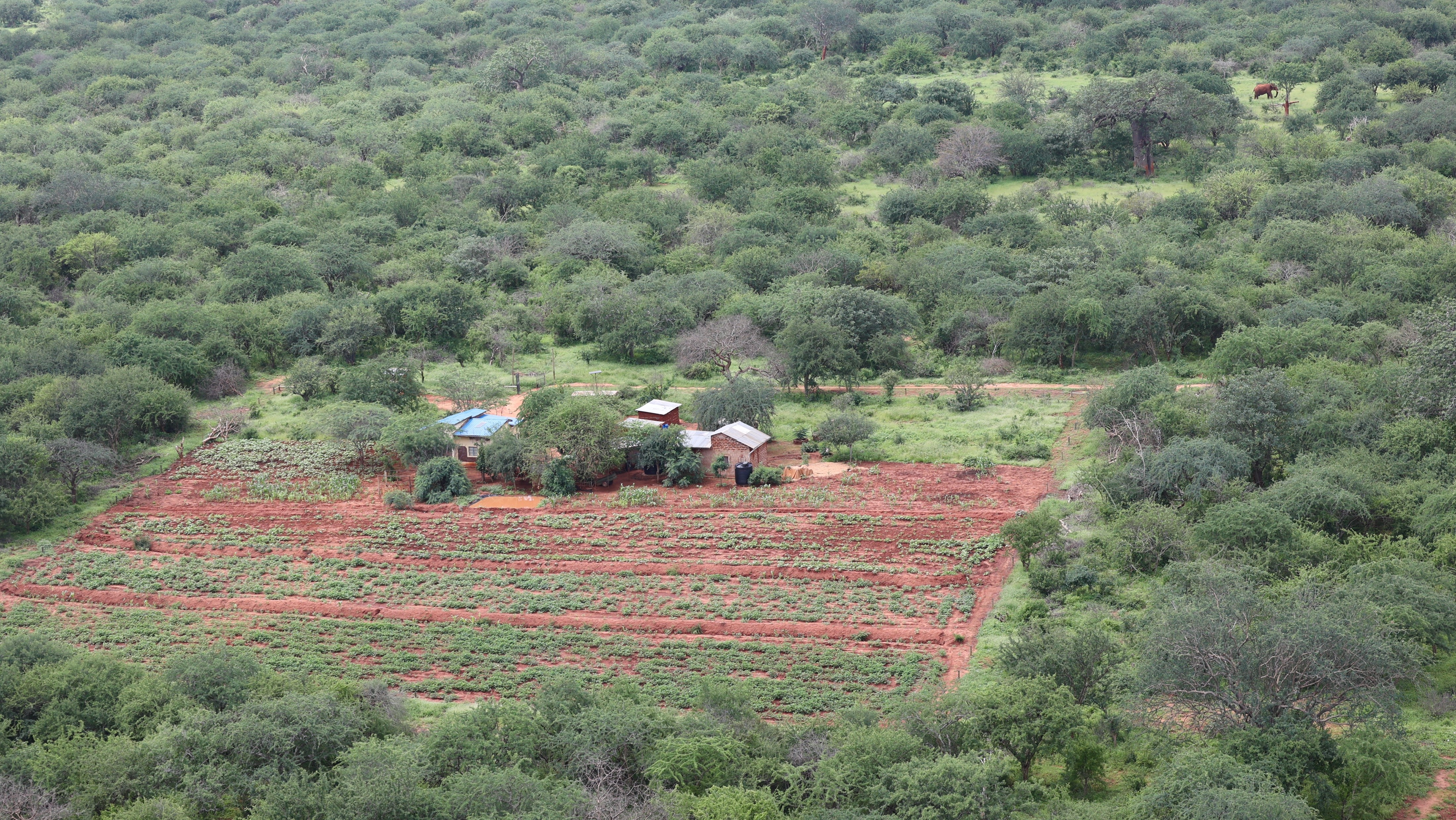 Photo of 10% Fence Plan depicting an intergrated land use, with crops on the 10% farm and elephant grazing on the top right corner of the farm