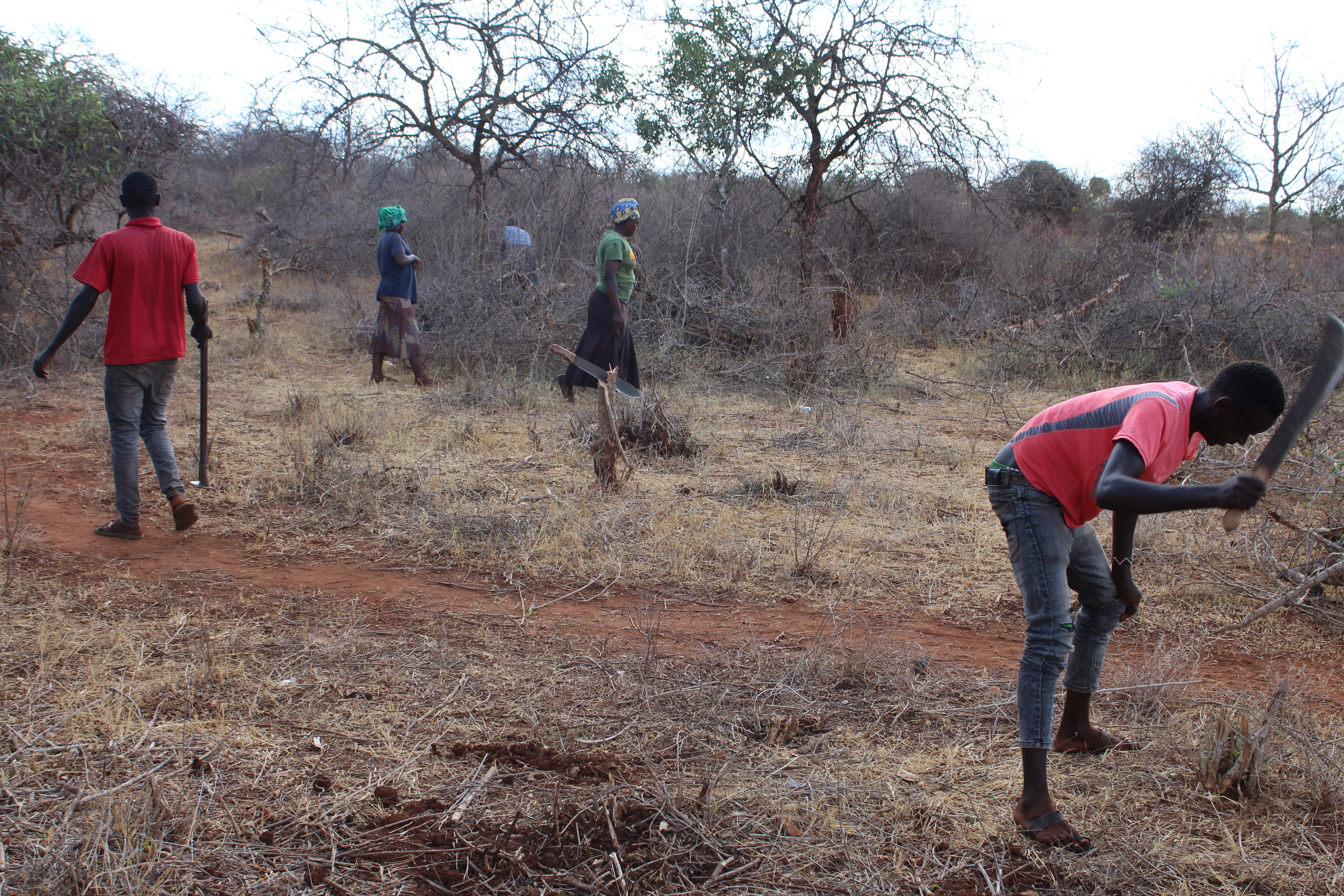 Casual workers from community clearing the area where 10% fence will be erected