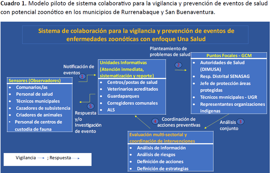 Visual of the surveillance network in of Rurrenabaque, Bolivia.
