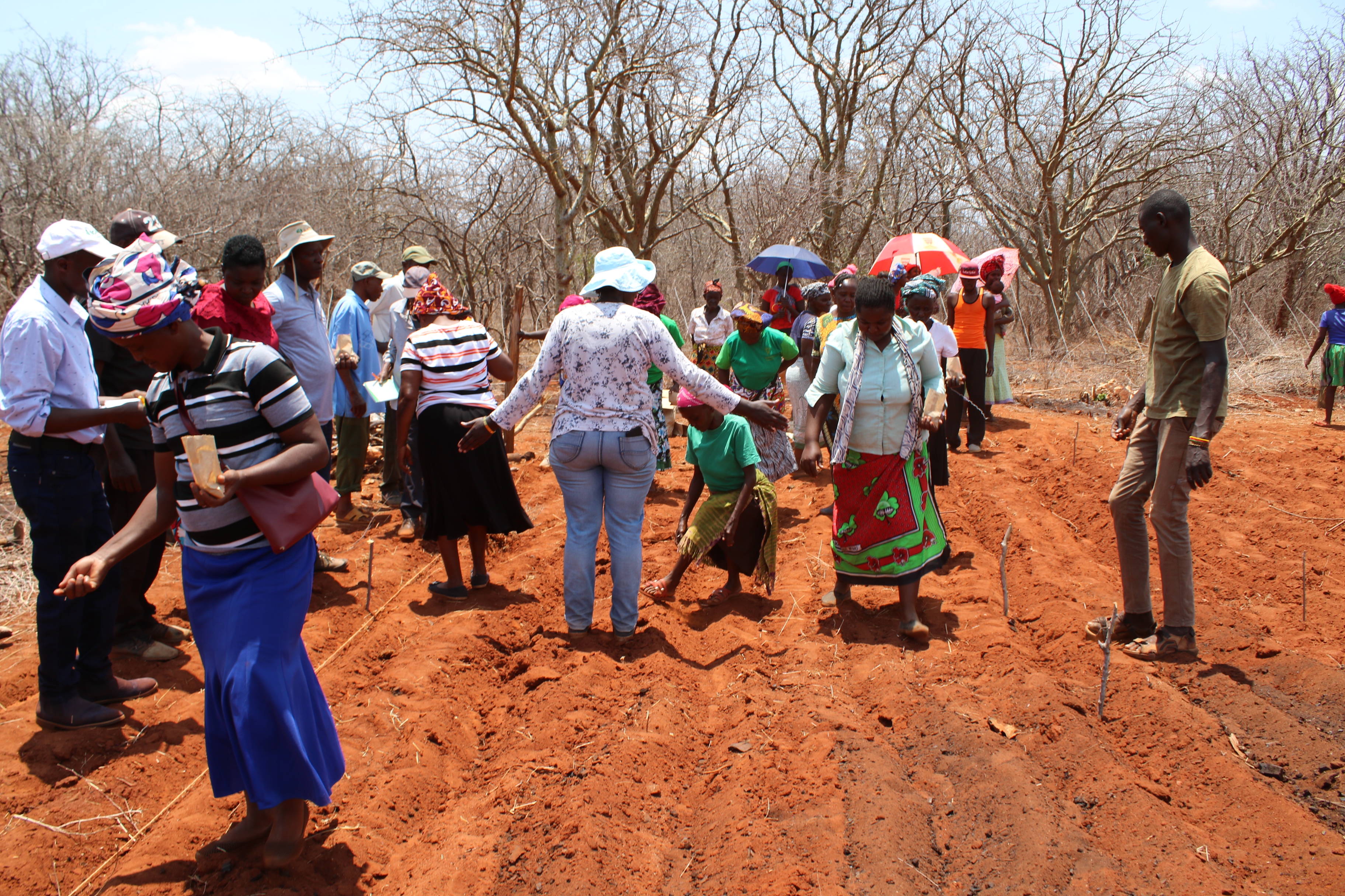 Farmers being trained on Climate Smart Agriculture inside a 10% Fence Plot