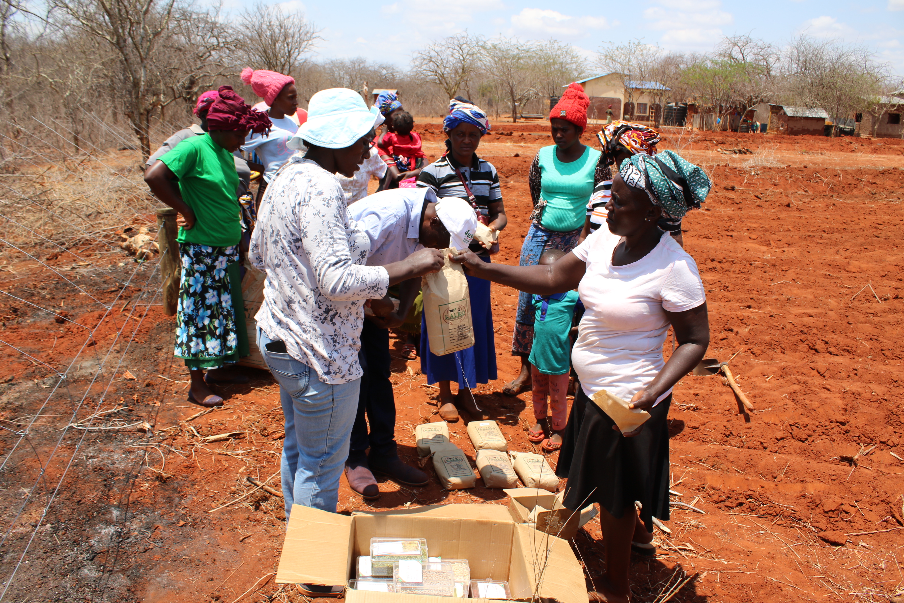 Farmers receiving certified seeds for a demo farm during training