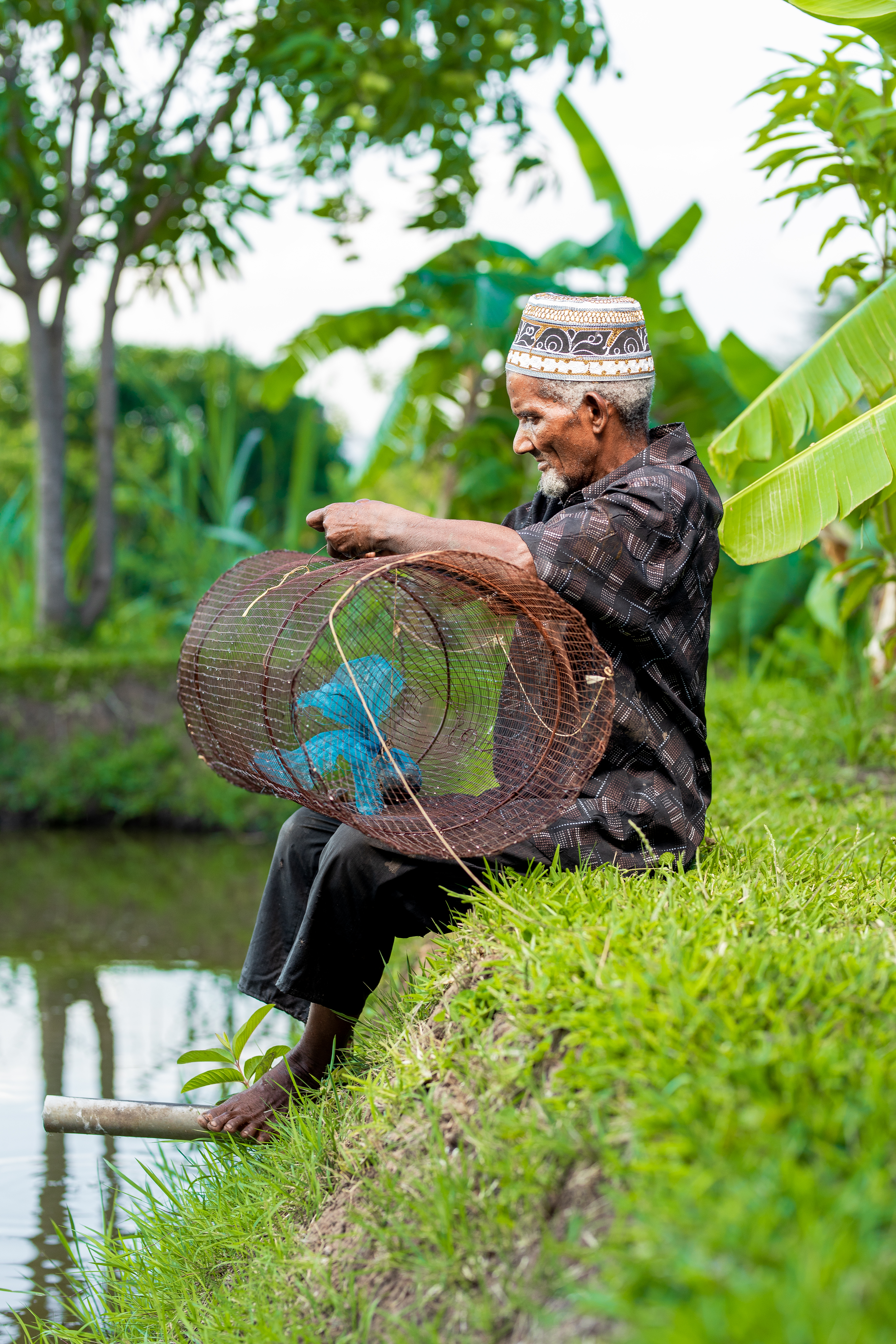 Man preparing the fish trap at the shore of a pond