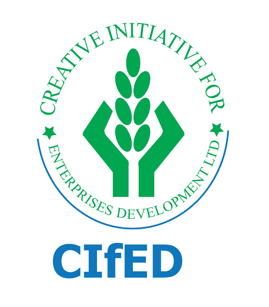 Creative Initiative for Enterprise Development (CIfED), logo