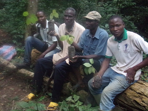 Indigenous people and local communities engagement in the restoration activities