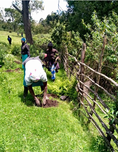 Planting seedlings at Geta forest station