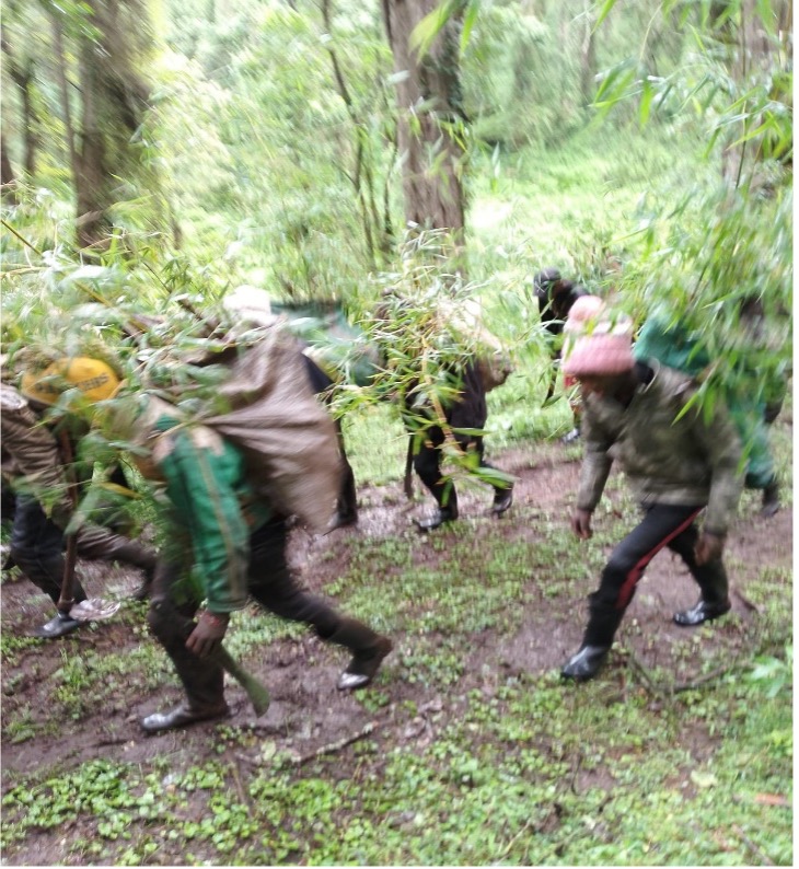 CFA members transporting seedlings to riparian restoration sites