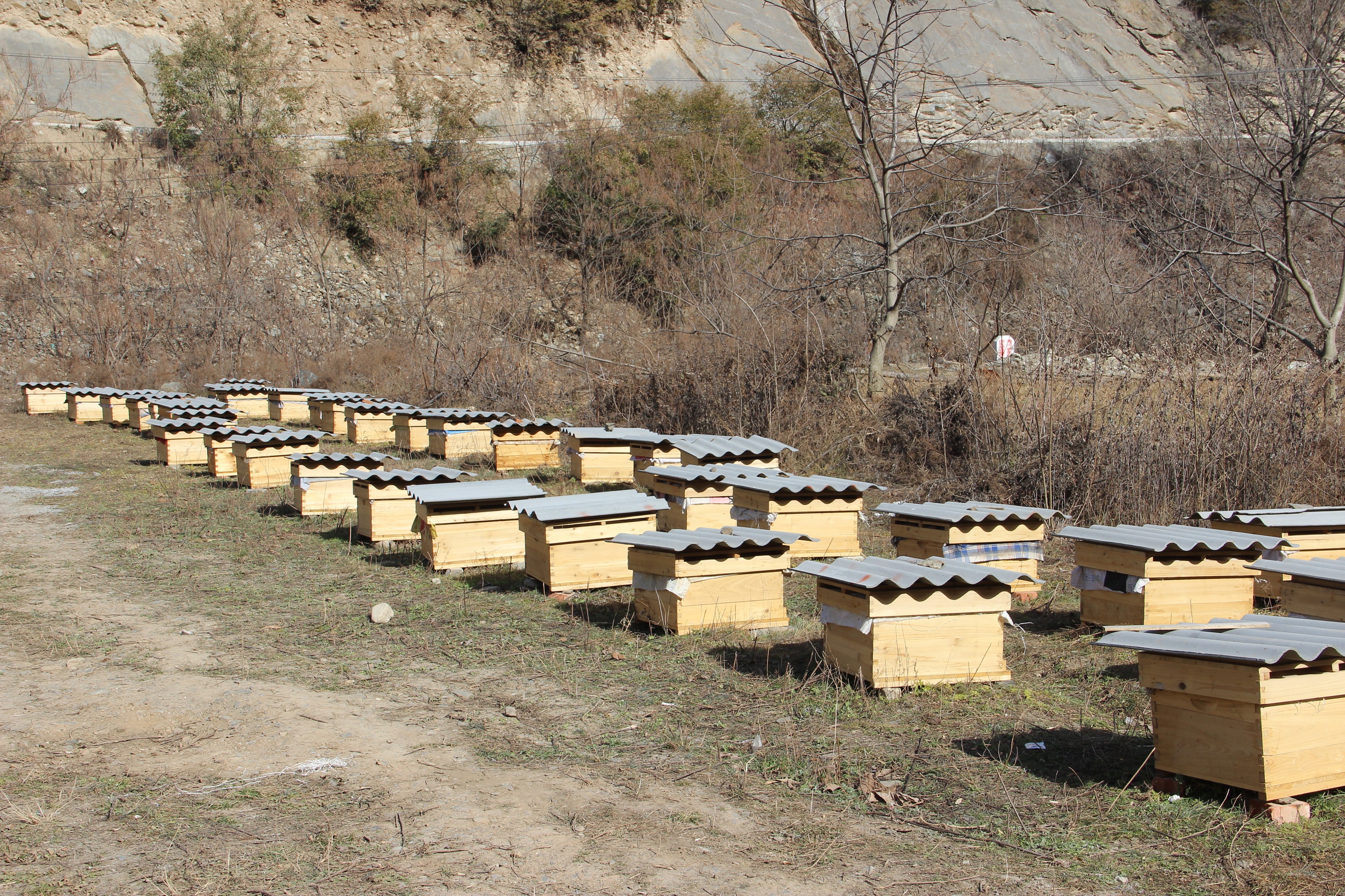 The reserve has spearheaded the implementation of a Chinese beekeeping project within the community, yielding substantial economic benefits.