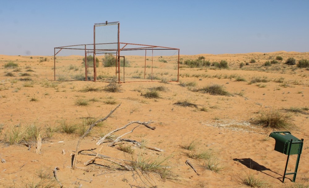 Vulture Capturing Cage with a camera trap infront of it to record vulture activity 