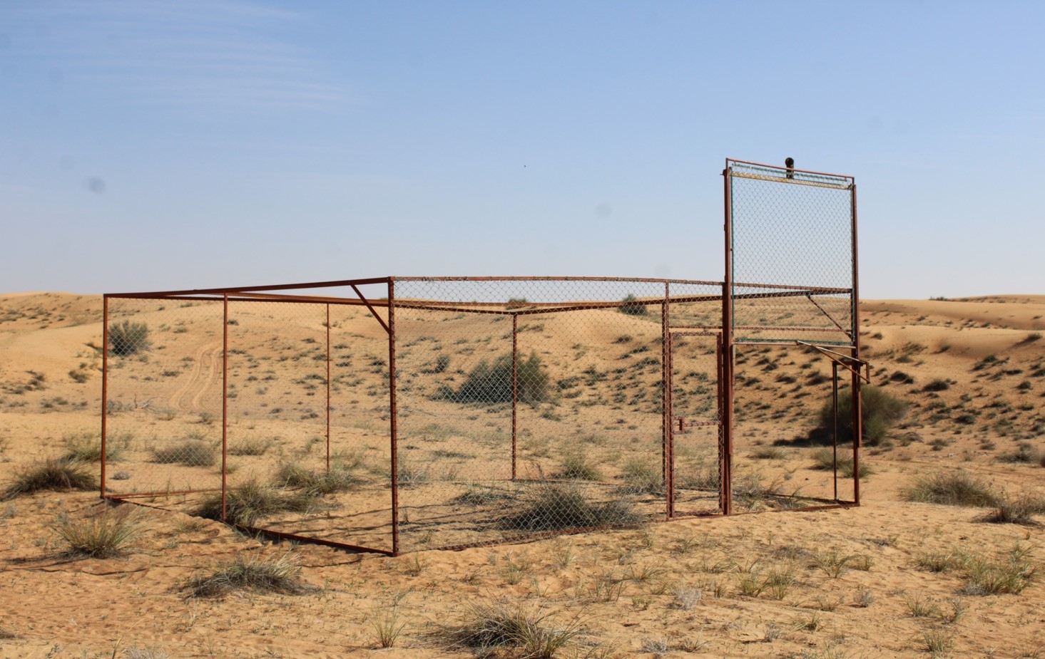 Vulture Capturing Cage used for the capture and release operation 