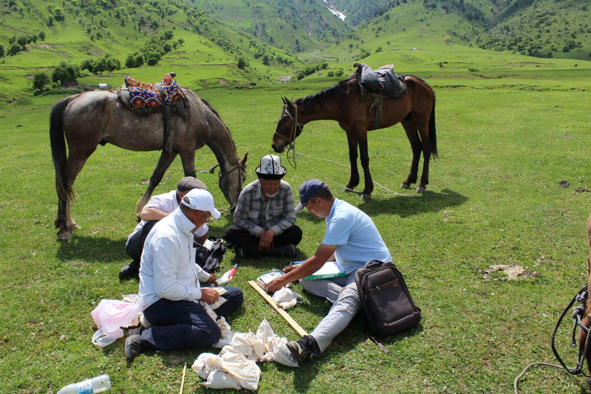 Measuring stick method - to estimate projective vegetation coverage of the pasture area