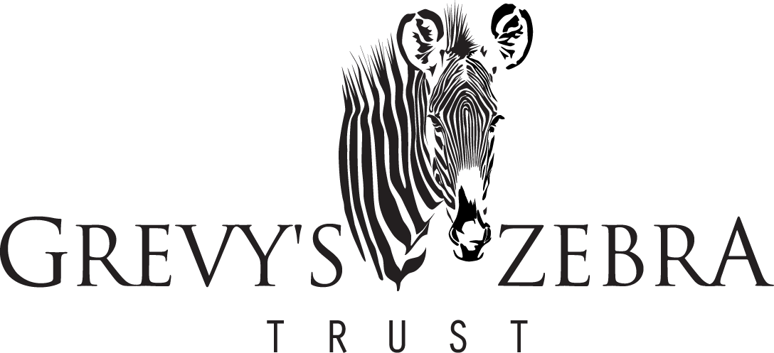 Grevy's Zebra Trust Logo