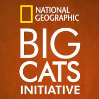 National Geographic Big Cat Initiative