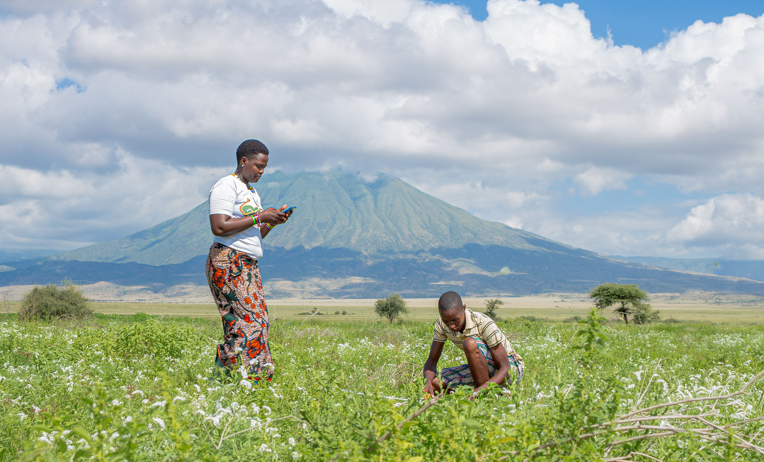 Young woman types in a mobile phone while man measure grass height in a green field