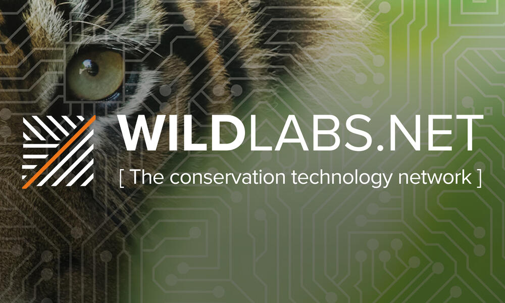 WILDLABS.NET