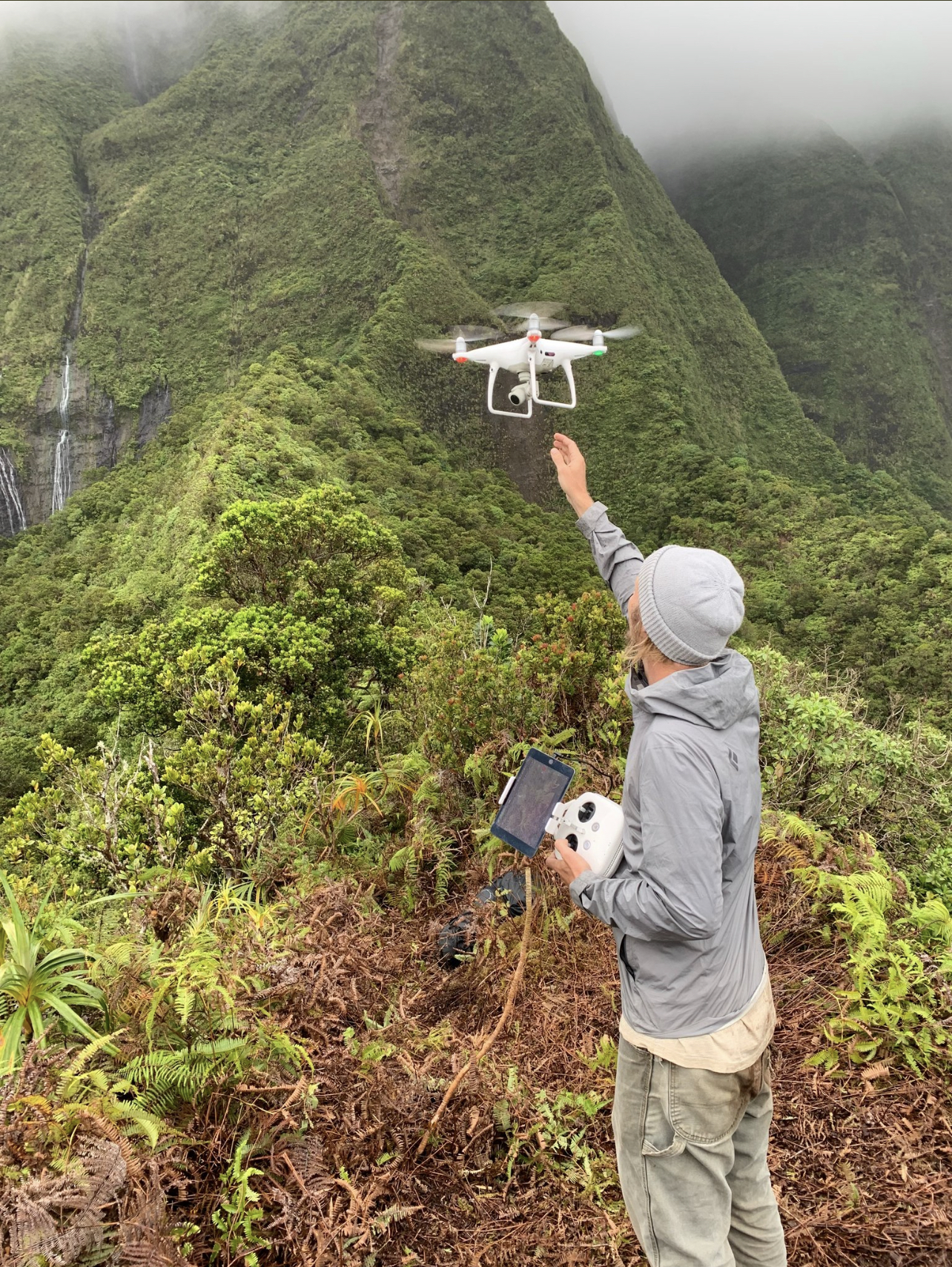 Drone being used for cliff flora assessment