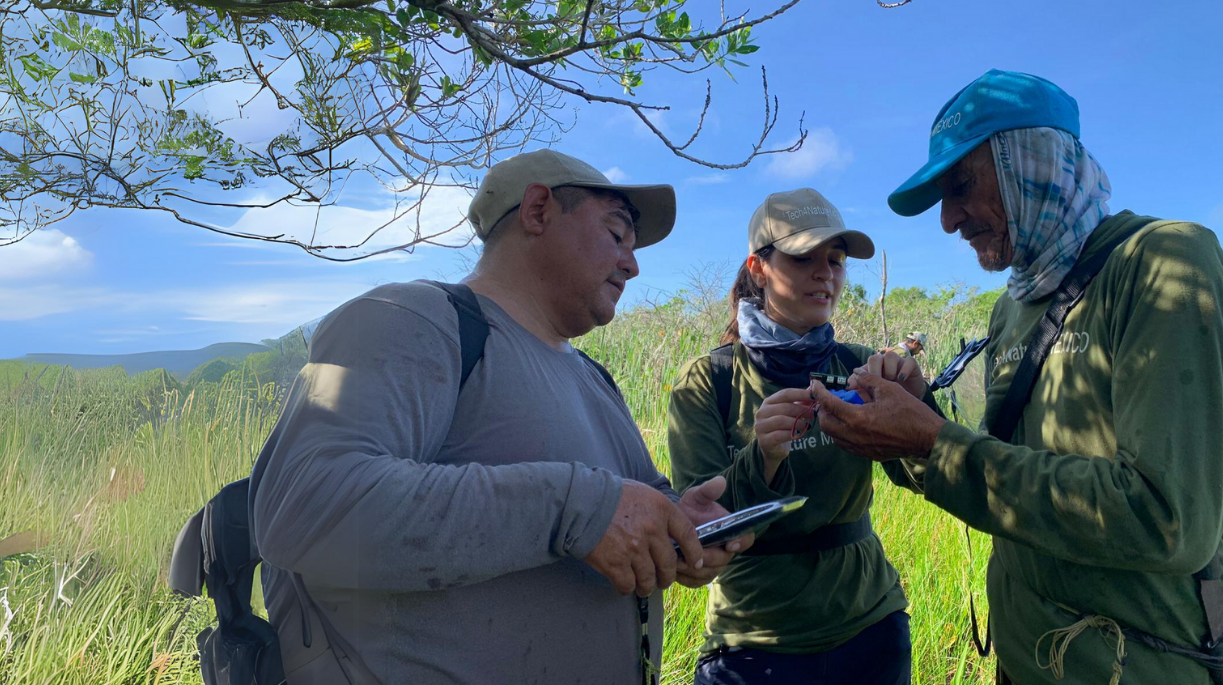 Collecting data on field