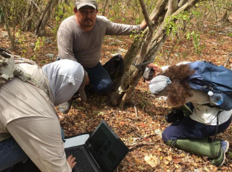 Collecting data on field