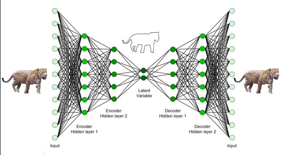 Siames autoencoder architecture