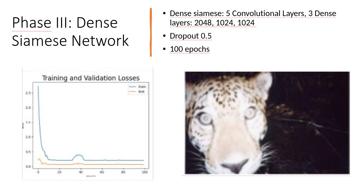 Dense siamese network trainning results