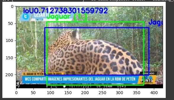 Individual detection results