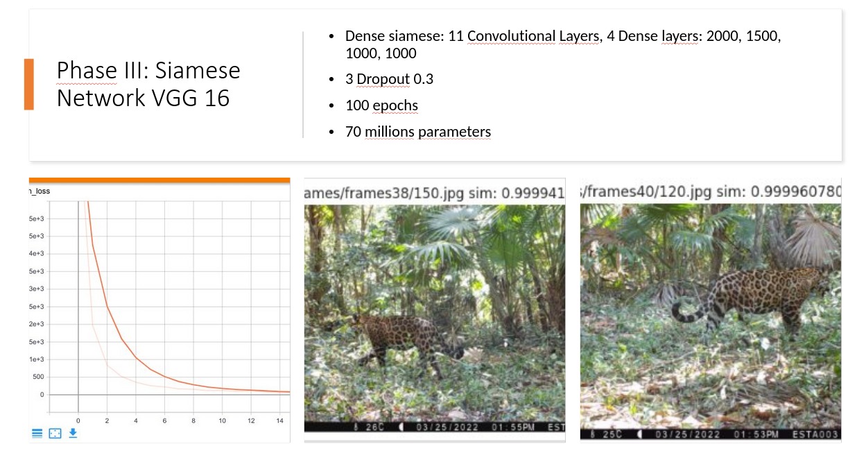 Individual similarity results