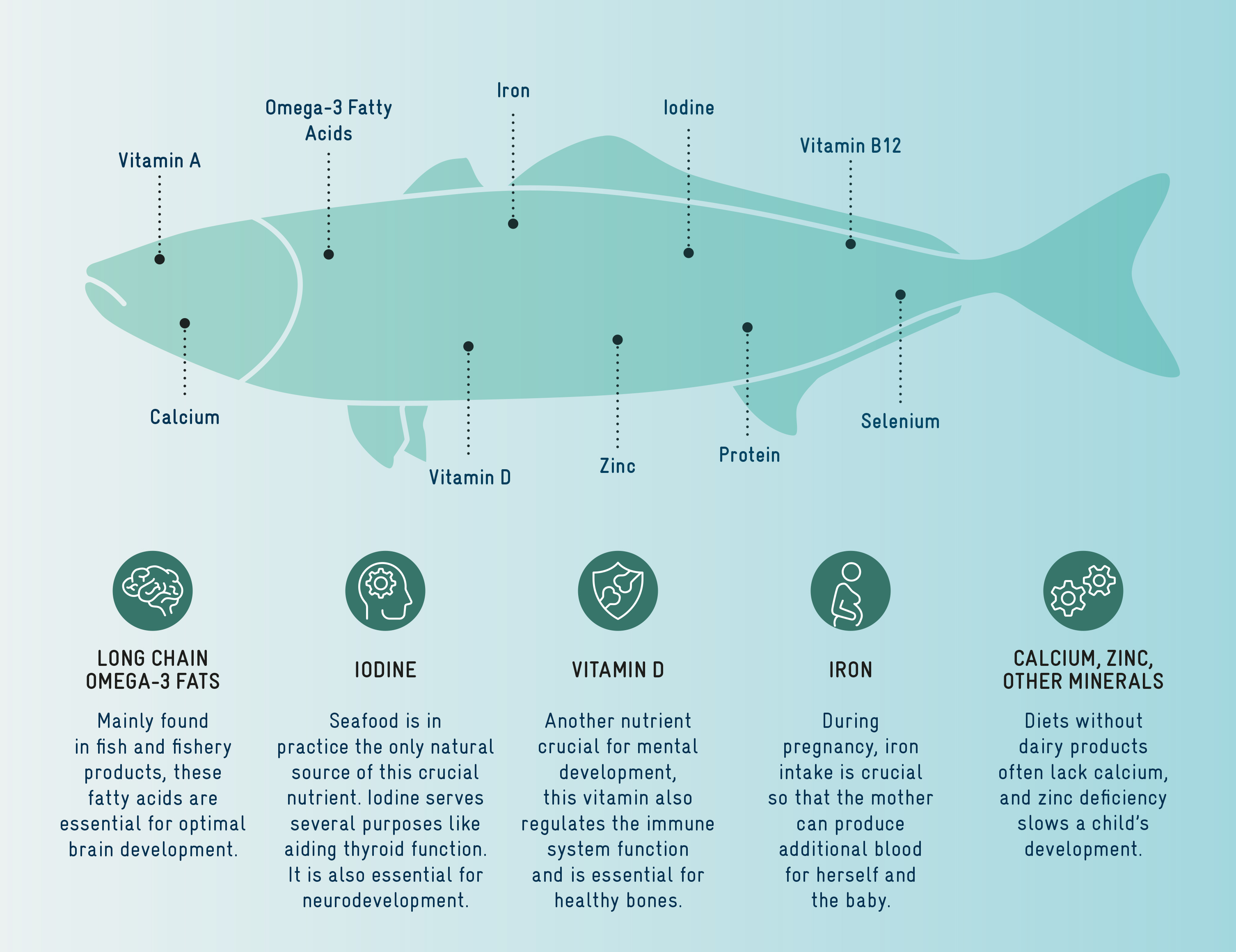 Graphical display of the nutrition value of fish, including long chain omega 3-fats, Iodine, Vitamin D, Iron, Calcium, Zinc and other Minerals.