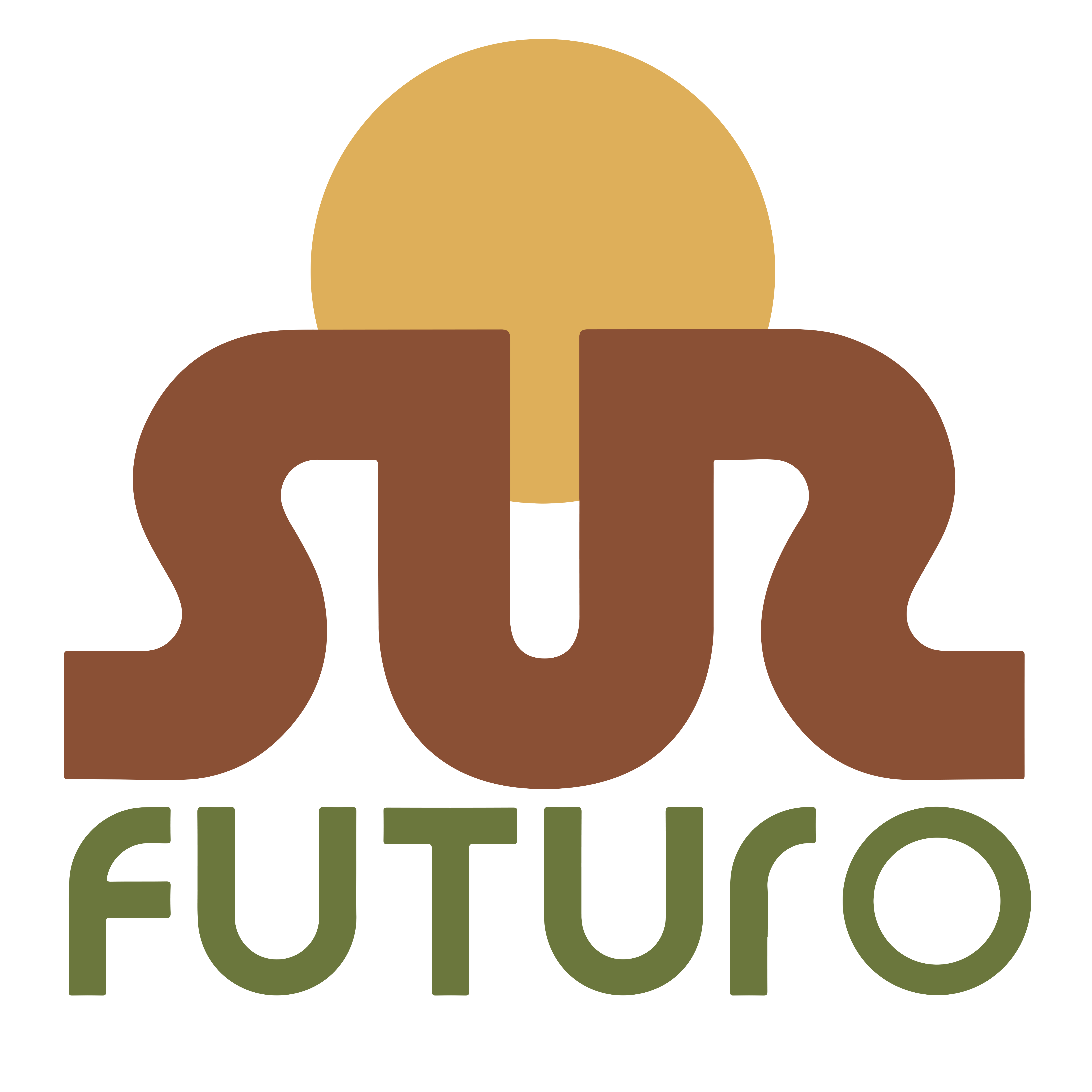 Logo Fundación Sur Futuro