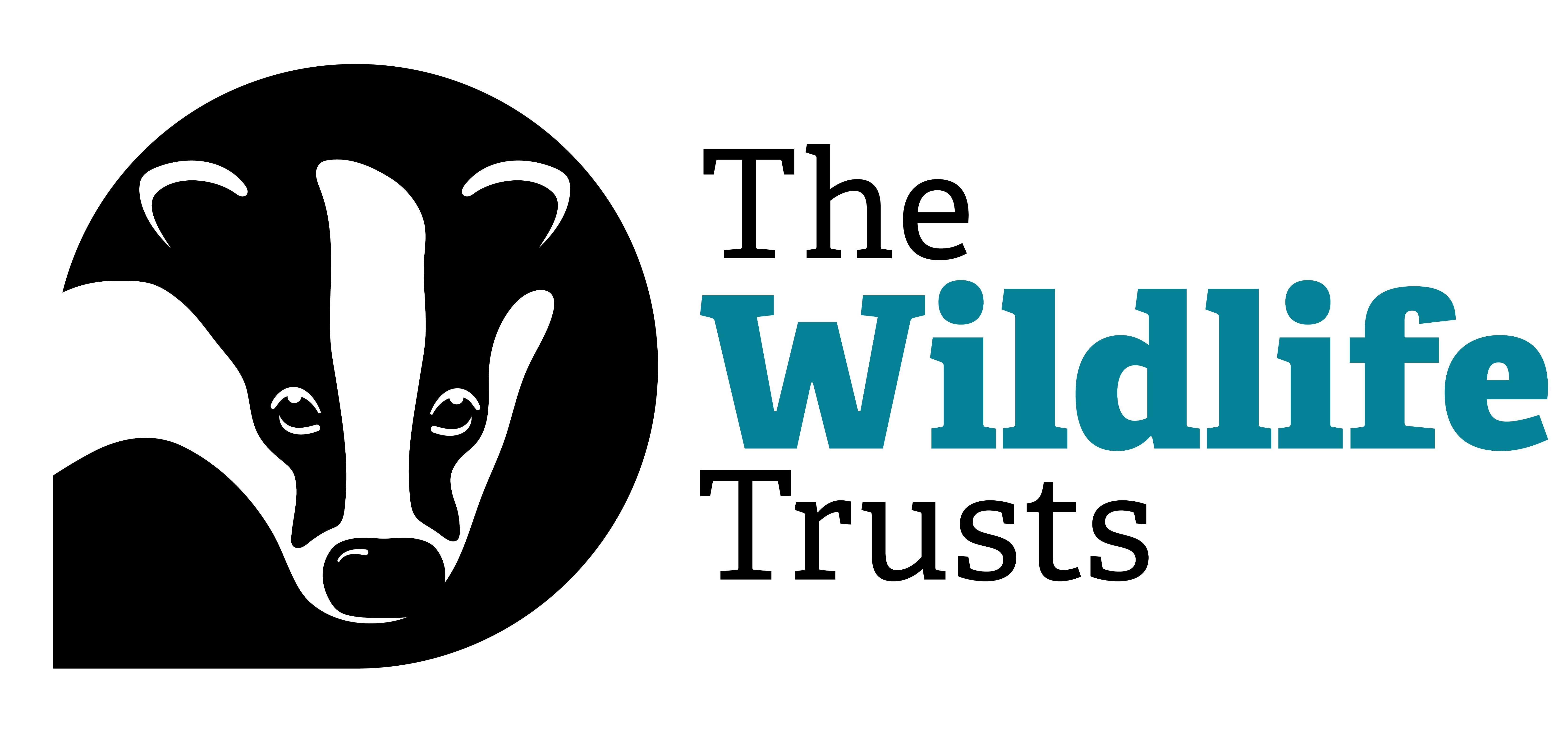The Wildlife Trusts badger logo