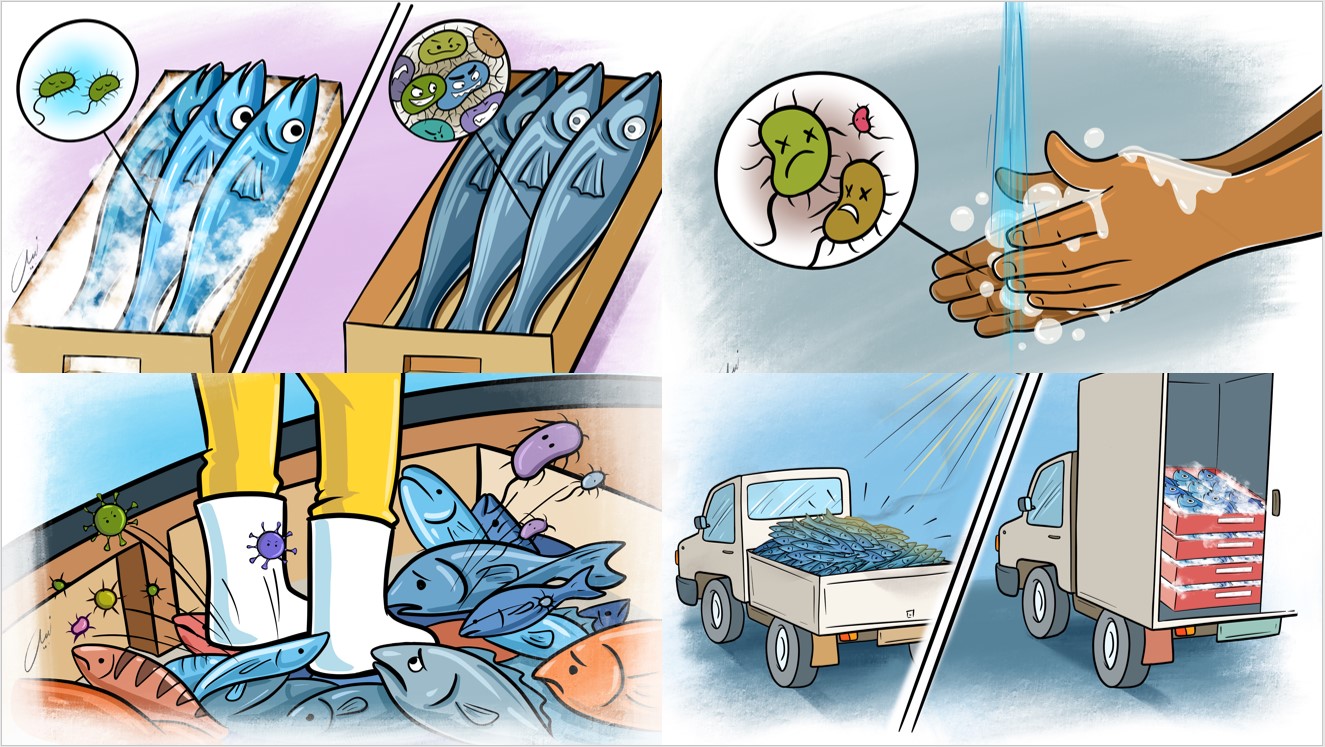 Comic showing picture examples for hygiene and quality standards such as washing your hands or freezing fish against bacteria