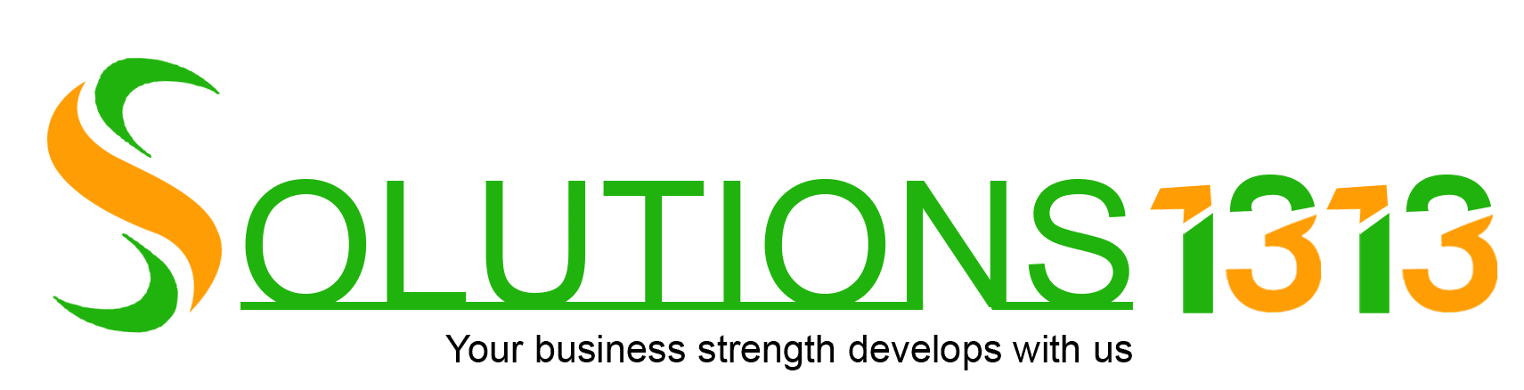 Solutions 1313