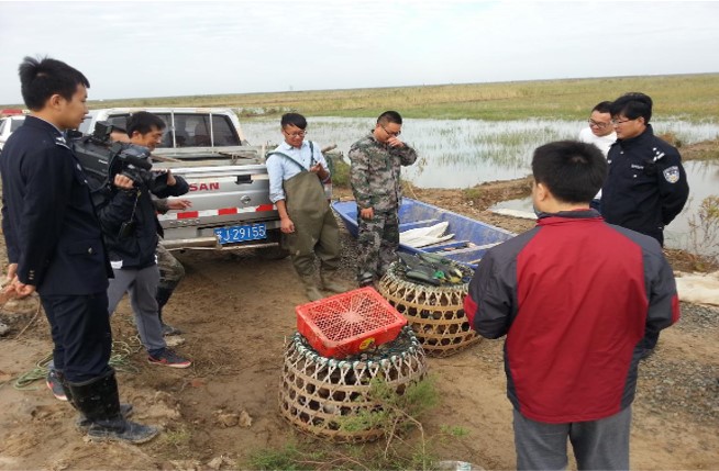 Conduct law enforcement actions to combat illegal hunting of wild animals