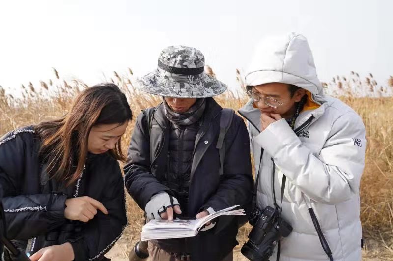 Conduct bird monitoring
