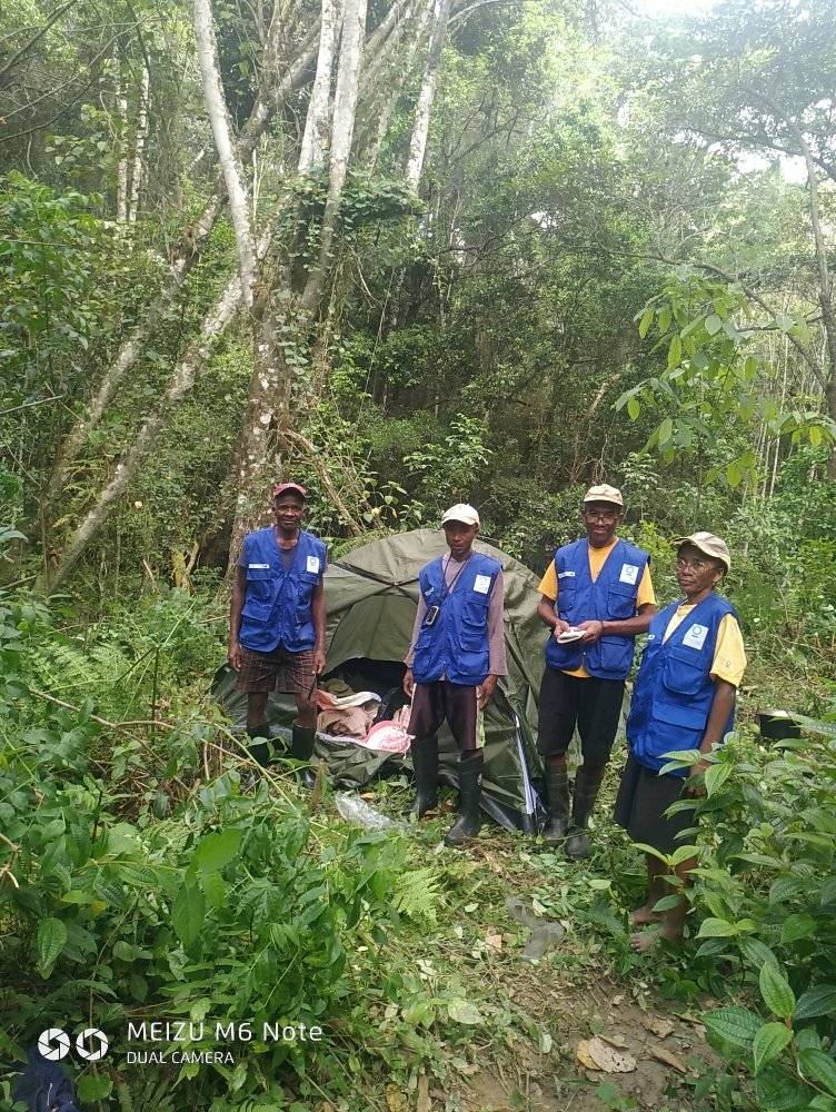 Team in the field