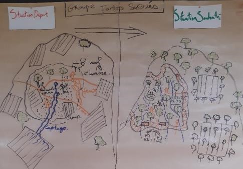 Plan Forets Sacrees
