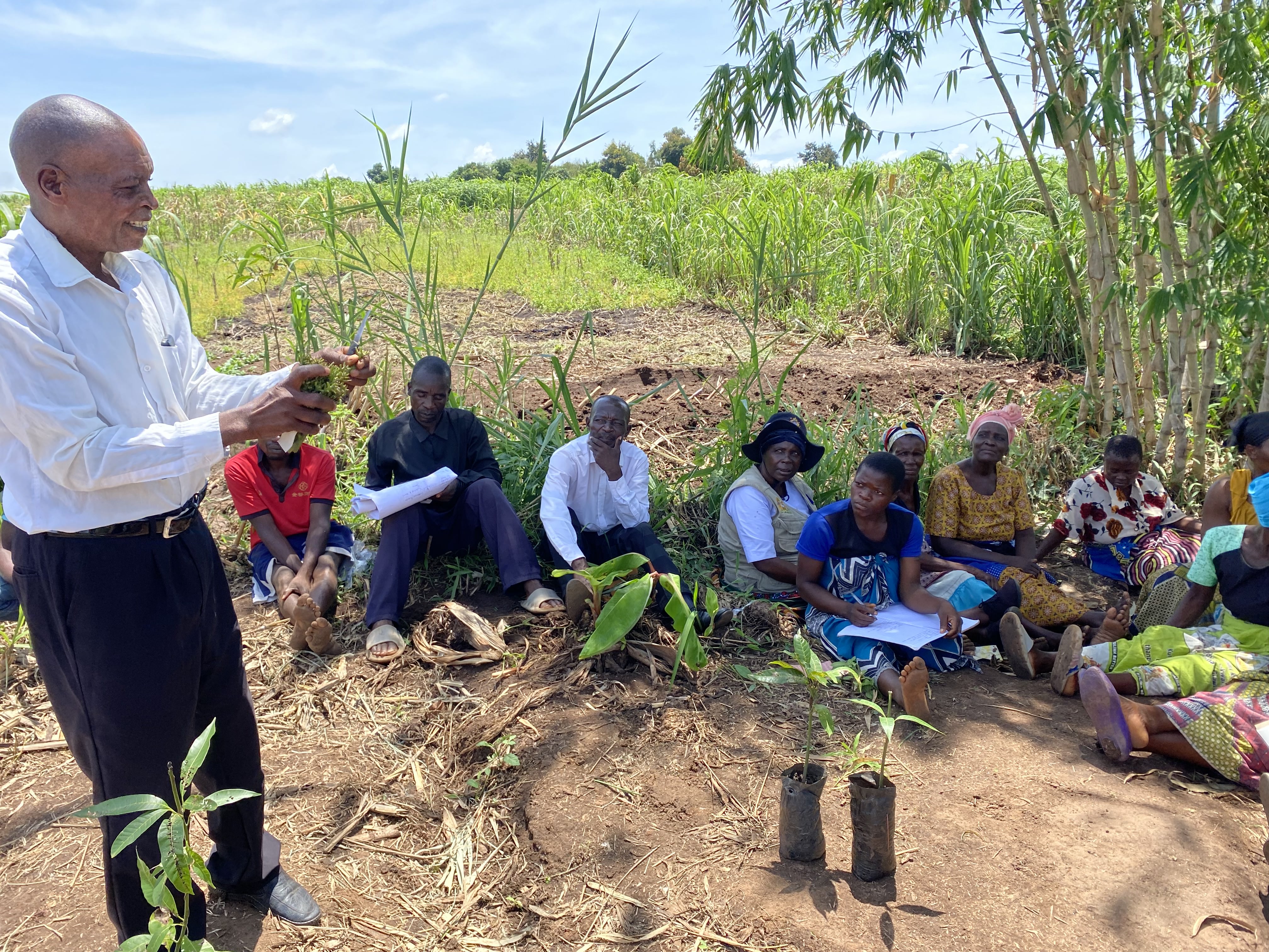 Farmer field workshop