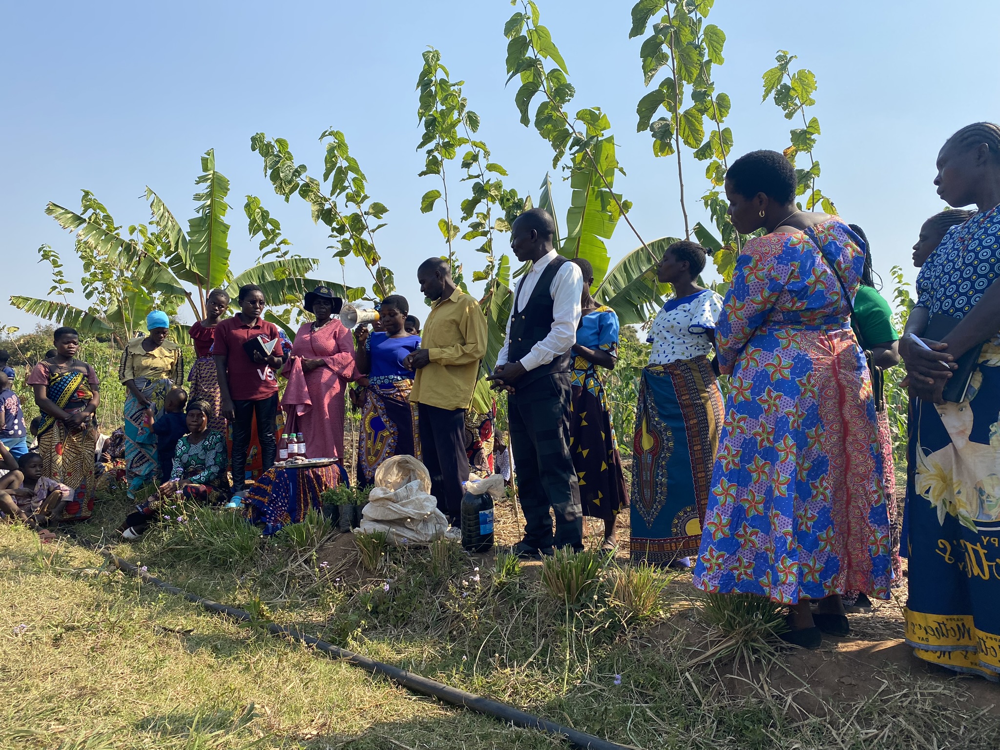 Field visit to Syntropic Agroforestry Demo Plot during National Agroecology Conference 2024