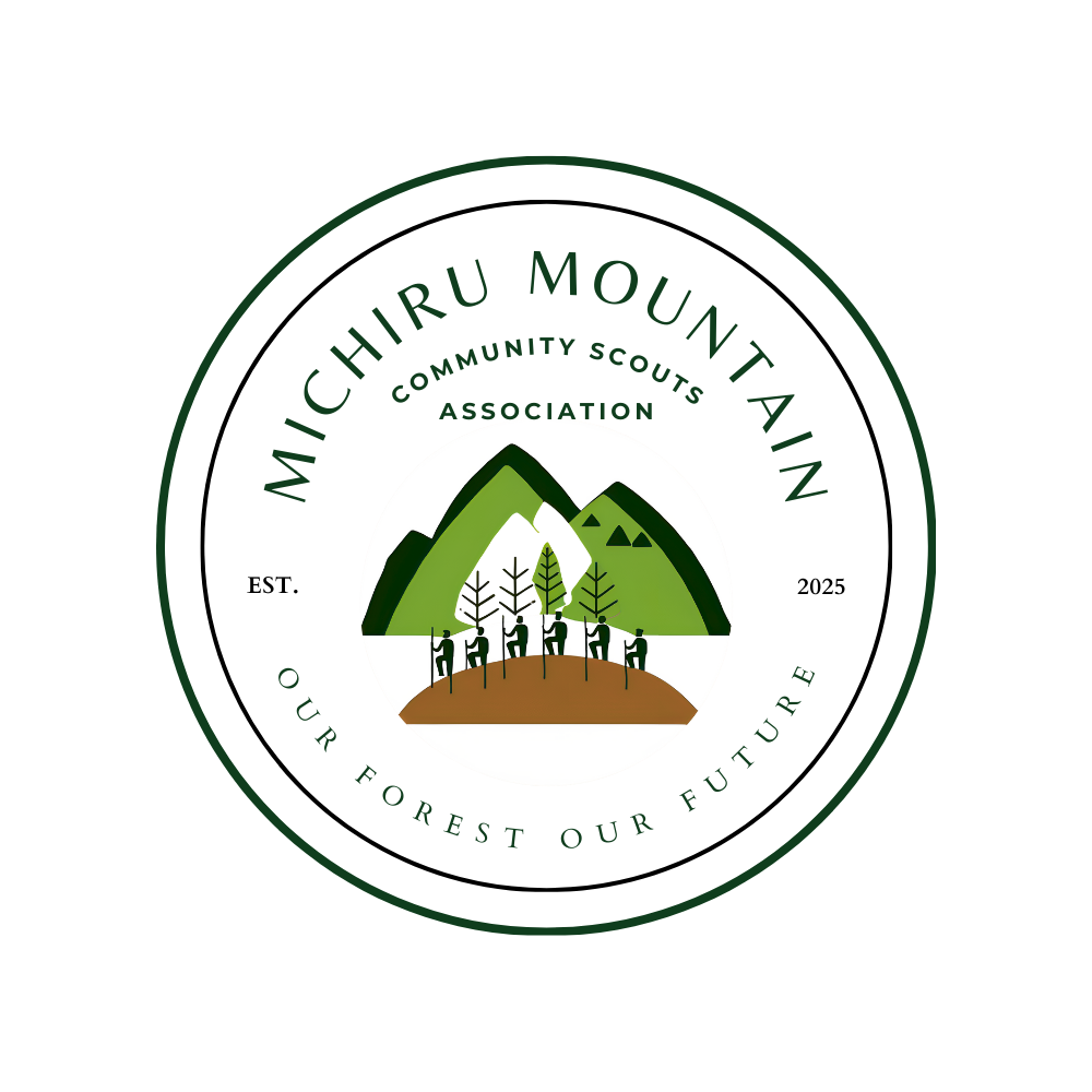 MMCSA Logo