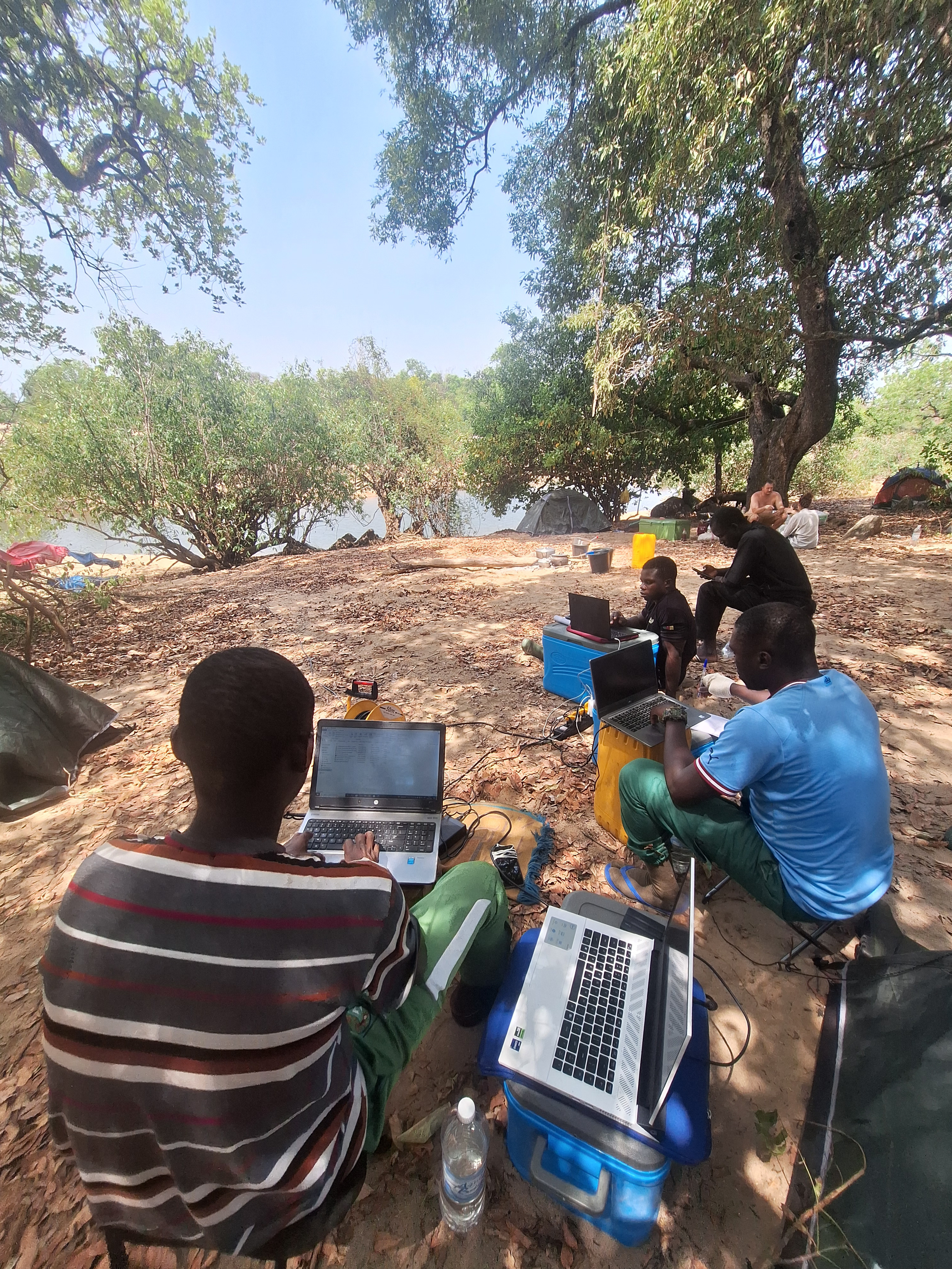 Field data processing