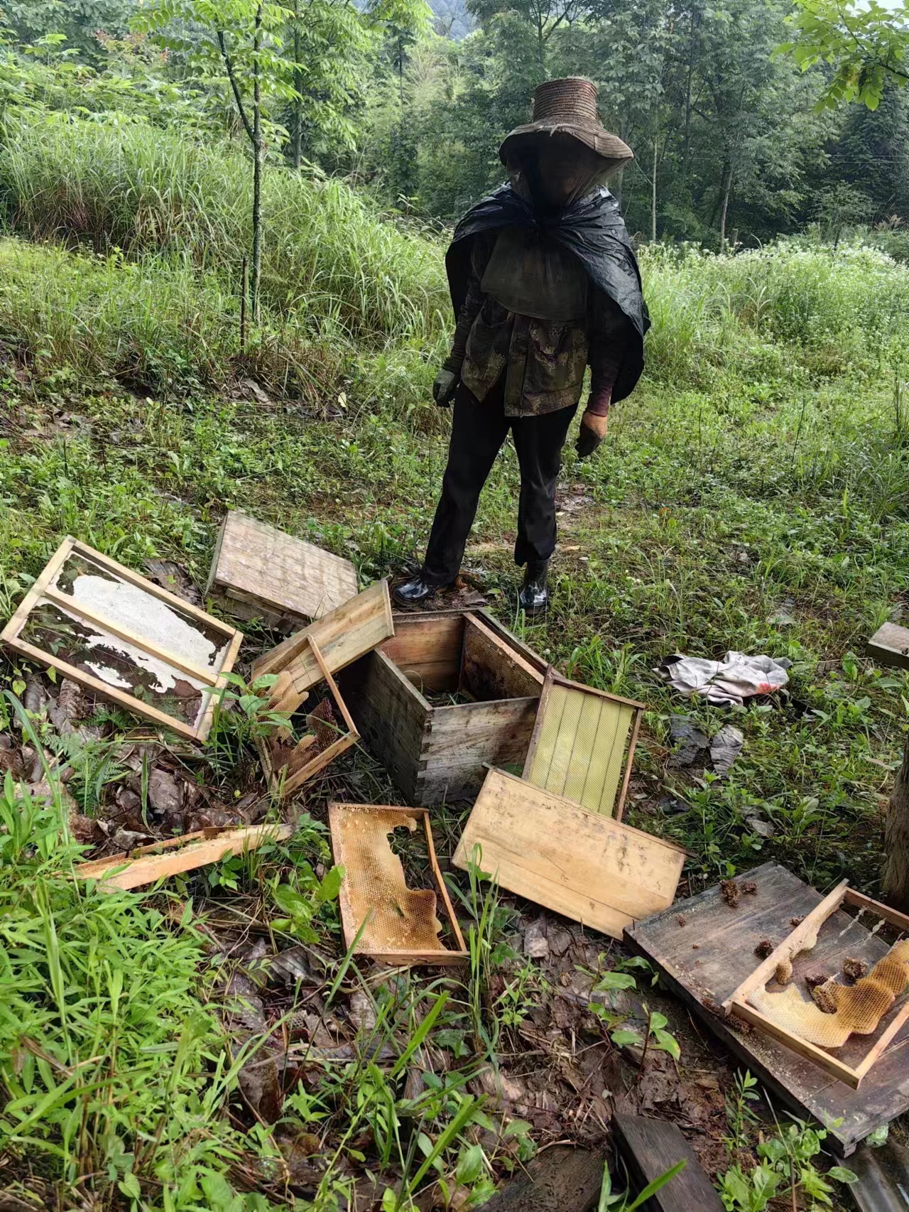 Inspecting damaged bee barrels
