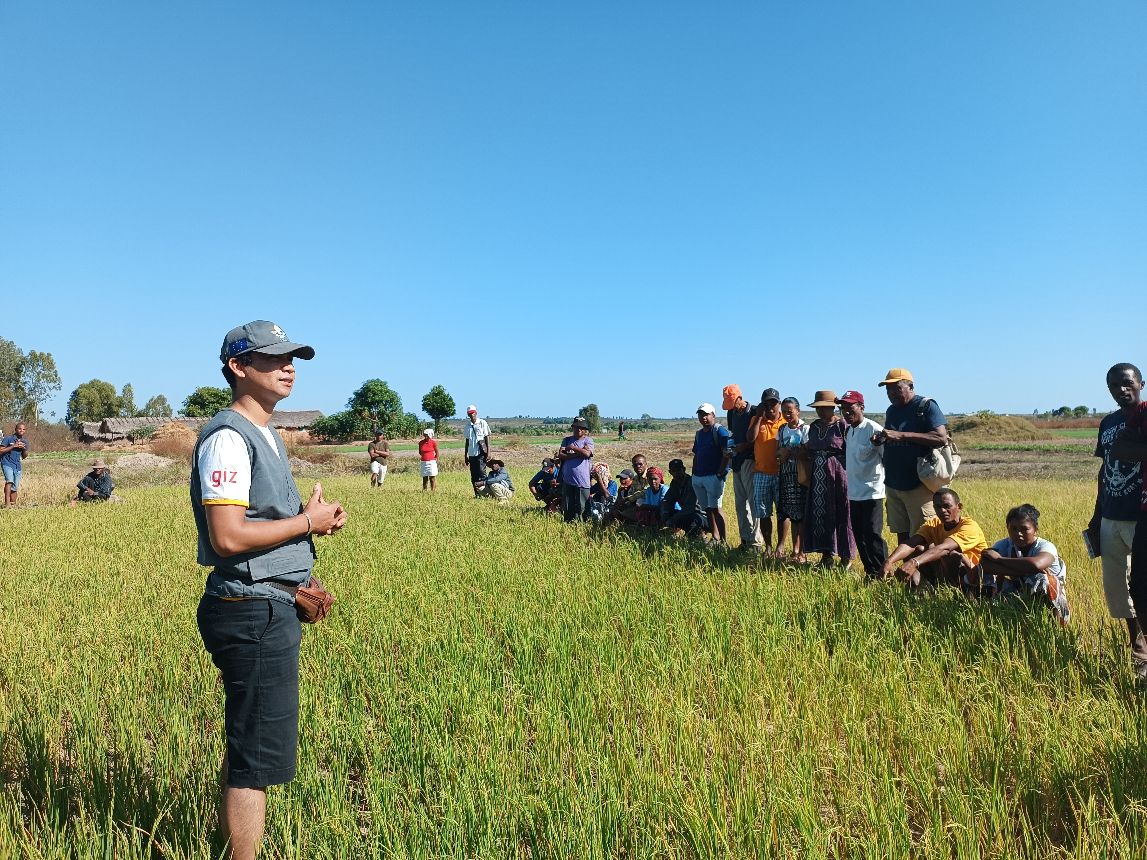Formation pratique et simulation de contrôle de production de semences de riz aux champs