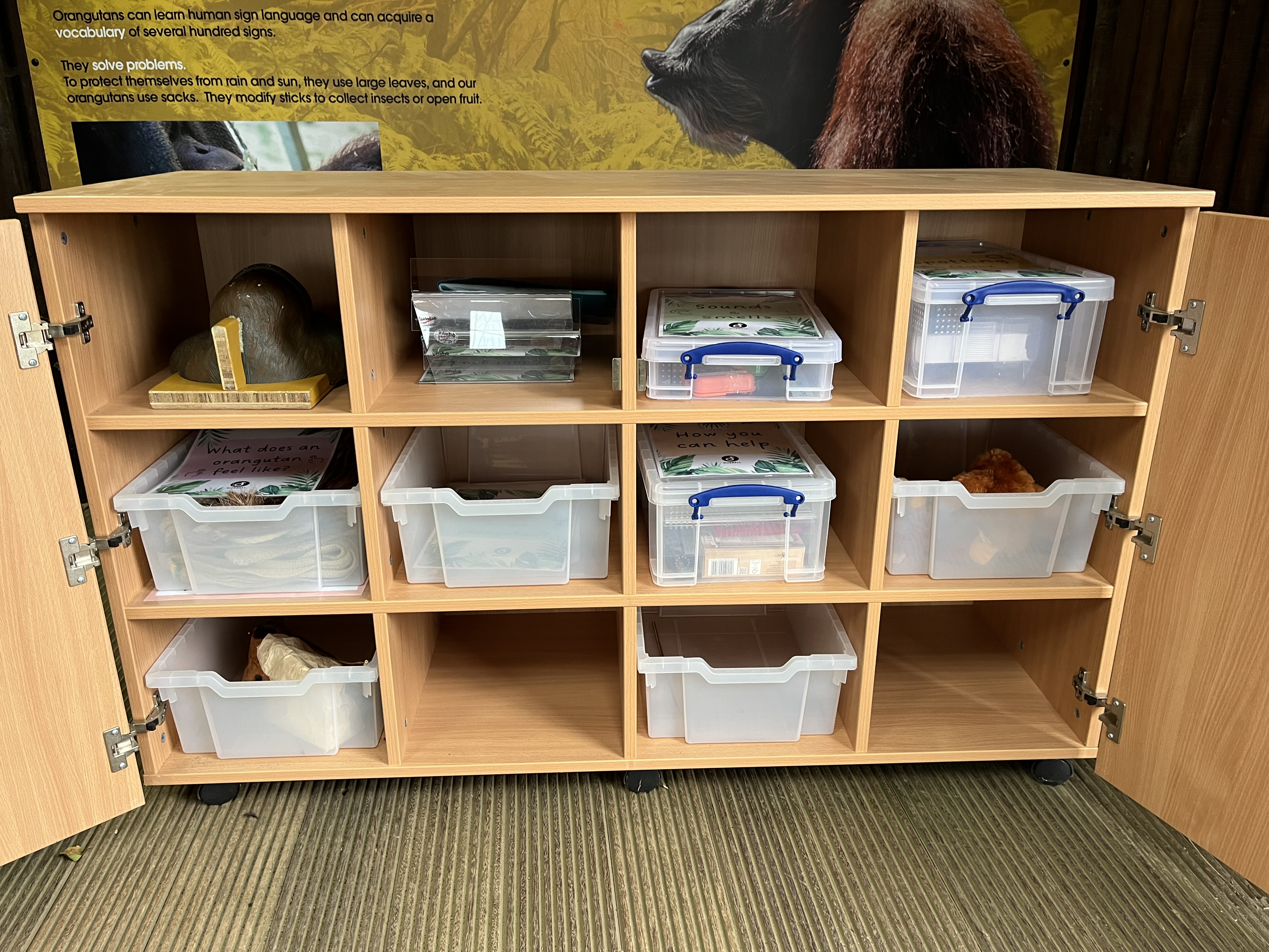 Close up of organisation of the Investigation Station. Doors open, boxes in shelves with resources organised within.