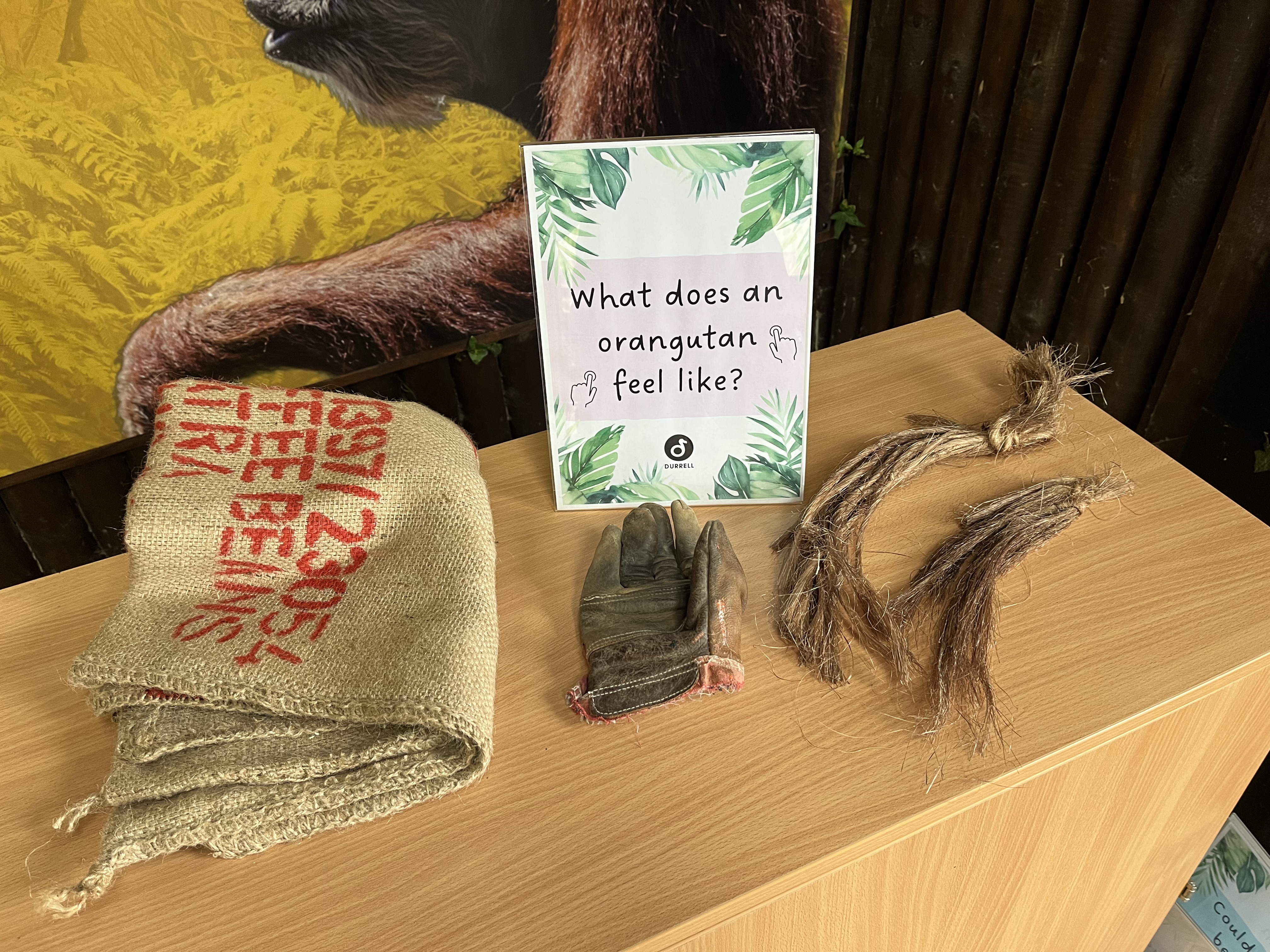 A close-up of sensory activities on the Investigation Station. On top of the cupboard is a sack, old gardening glove, fake hair.